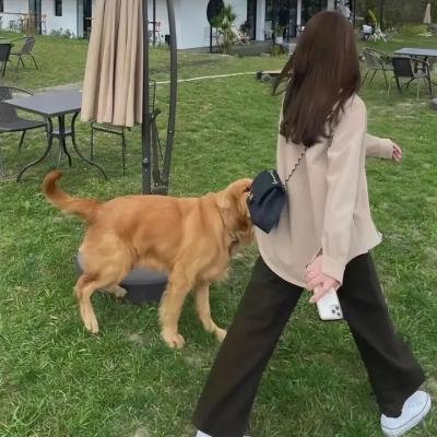 骇人秘事波比特